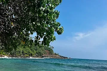 Surf breaking on the sandy bay at Mirissa below a wooded headland
