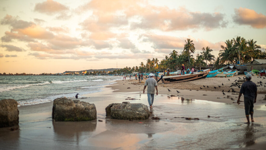 Fishing boats and coconut palms along the sand on the east coast