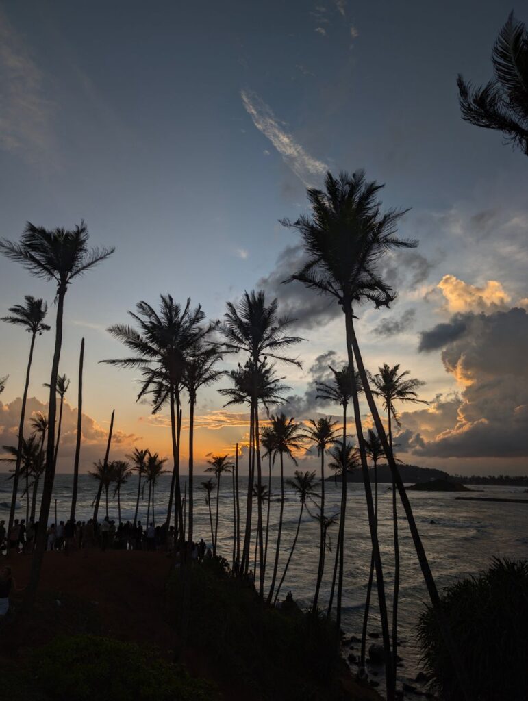 A quiet stretch of palm-backed beach on the Sri Lankan coast