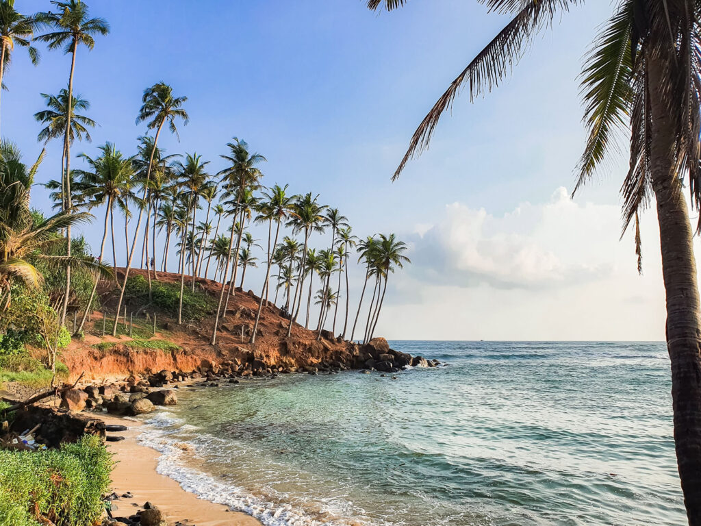 A palm topped rocky headland above turquoise surf