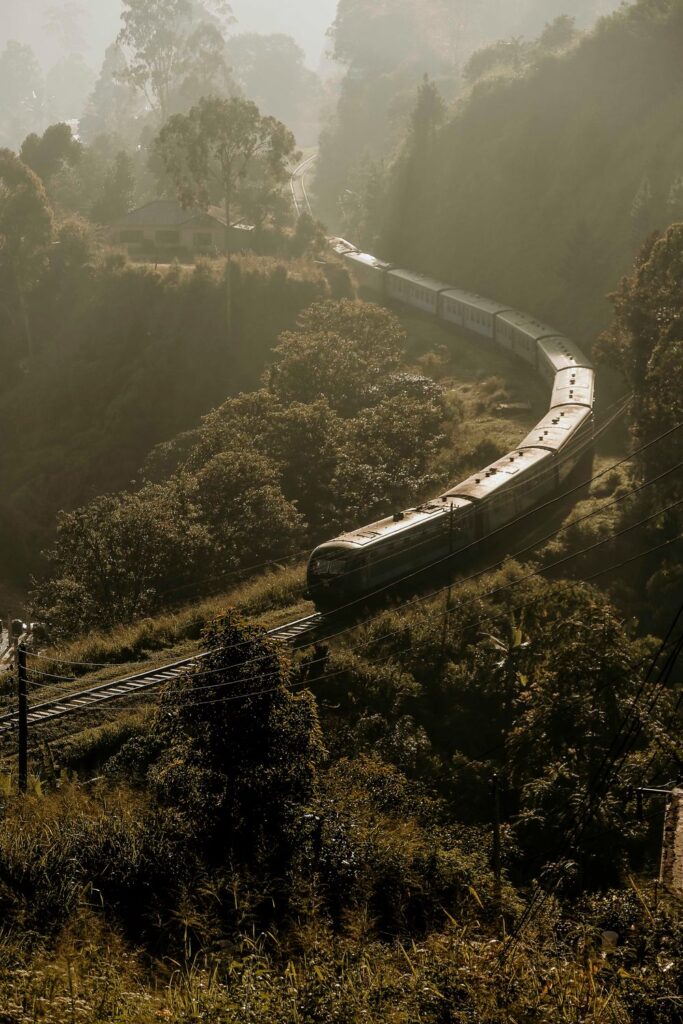 A train on the hill-country line above the tea plantations