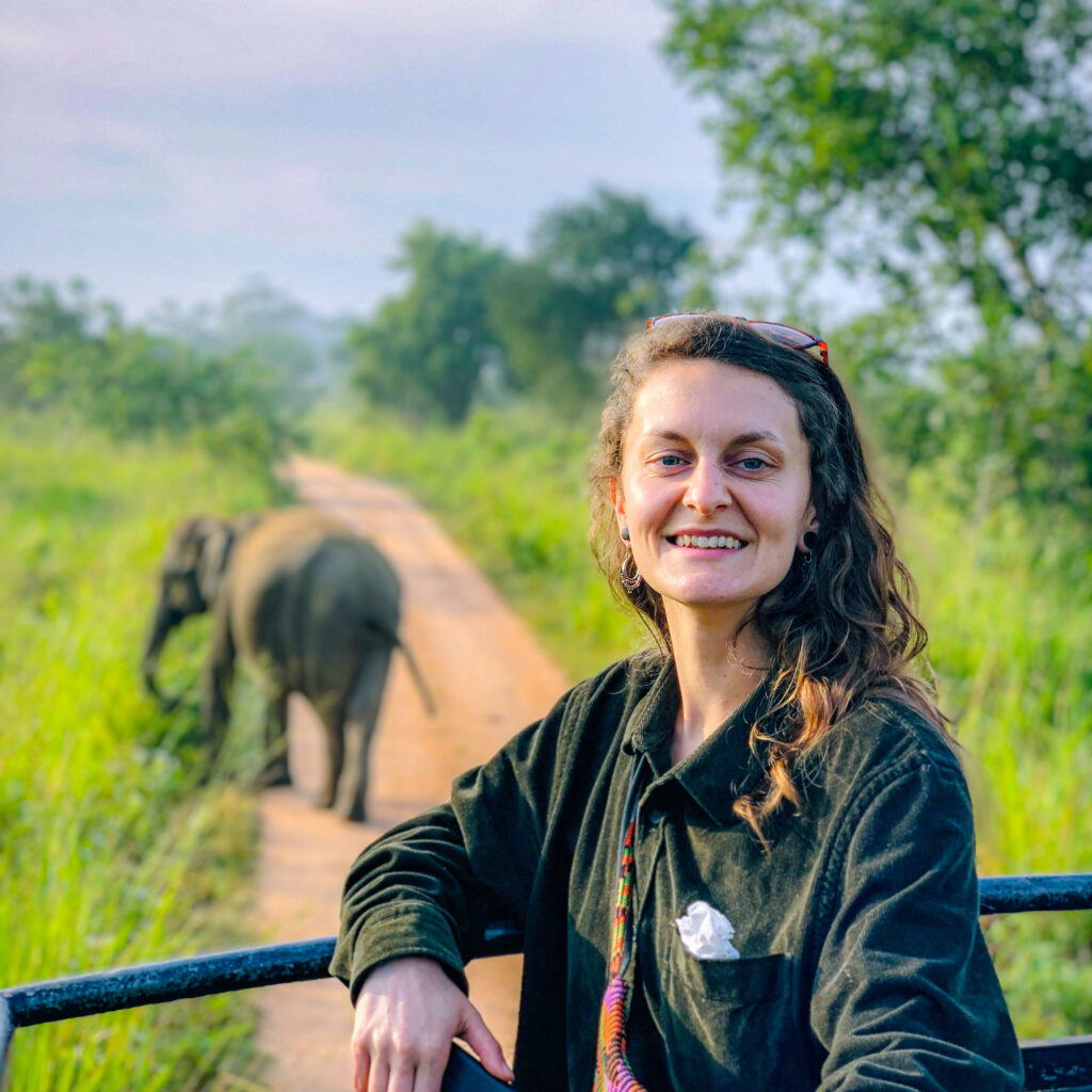 A traveller smiling from an open safari jeep while two wild elephants cross the track behind her