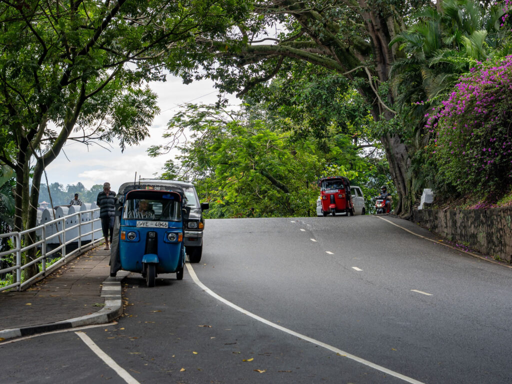 Tuk-tuks and a van on a shaded road beneath spreading trees in the hills
