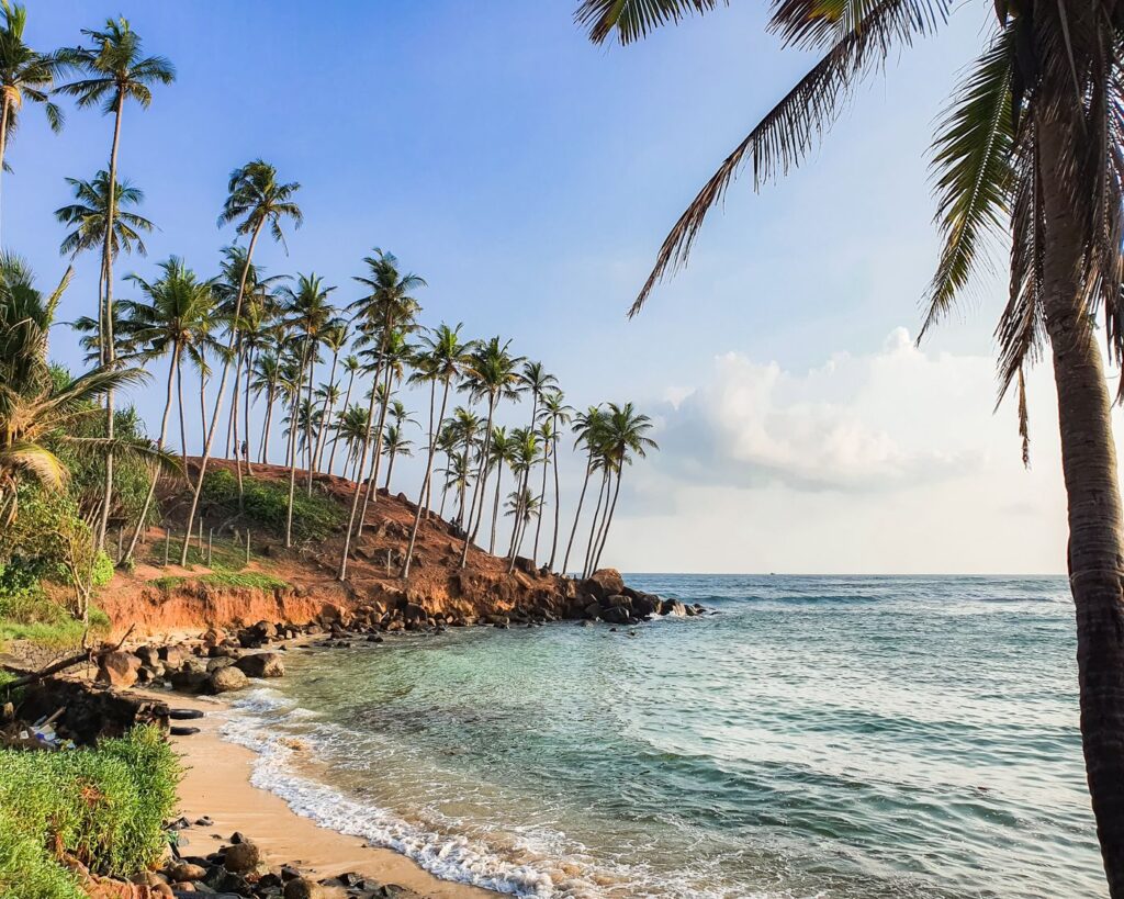 Palm-covered headland above the turquoise bay at Mirissa